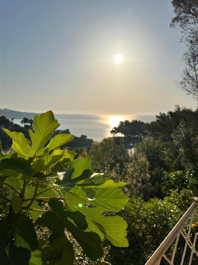 فيلا Limonaia In Salento ماريتيما المظهر الخارجي الصورة
