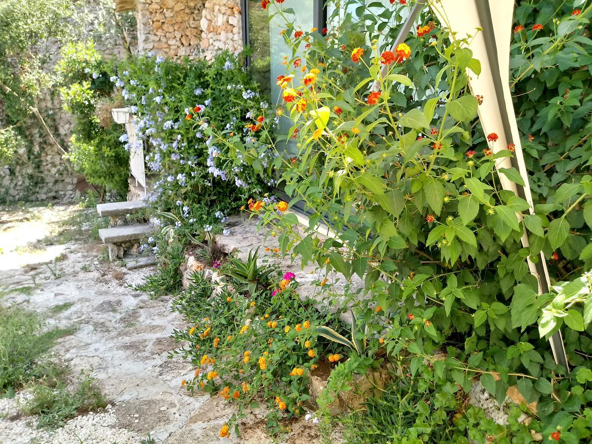 فيلا Limonaia In Salento ماريتيما المظهر الخارجي الصورة