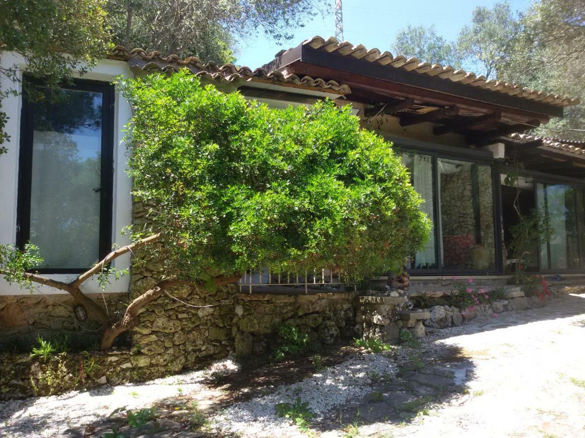 فيلا Limonaia In Salento ماريتيما المظهر الخارجي الصورة
